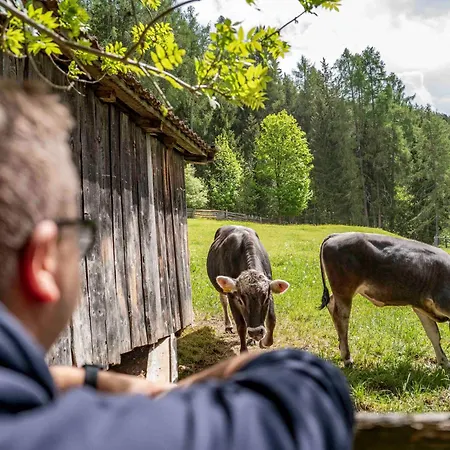 Untersillerhof Neustift im Stubaital