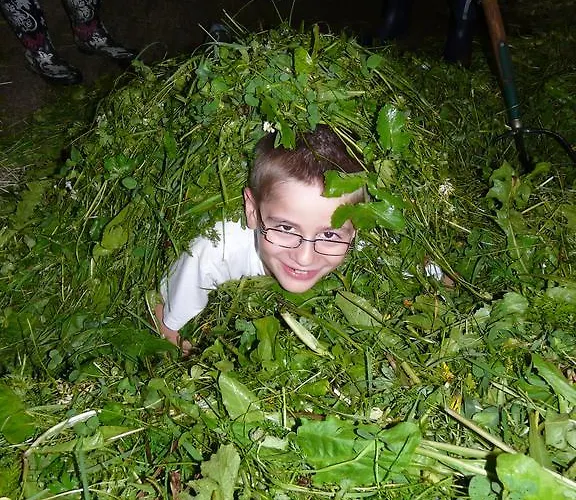 Untersillerhof * Neustift im Stubaital