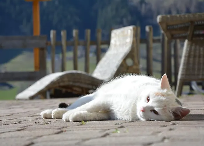 Untersillerhof Feriegård *