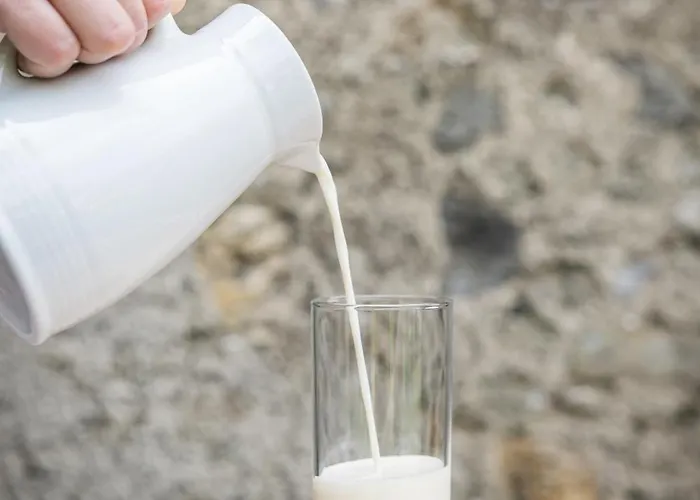 Untersillerhof Feriegård Neustift im Stubaital