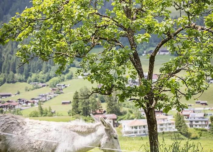 Alojamento de Turismo Rural Untersillerhof *