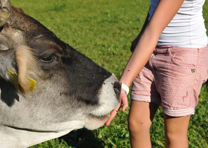 Untersillerhof Feriegård