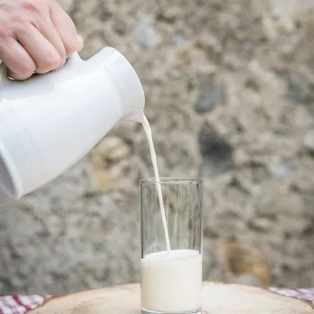 Untersillerhof Farma Neustift im Stubaital