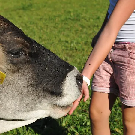 Untersillerhof Farma